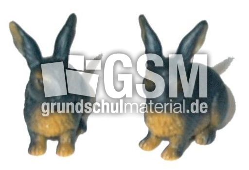 Hasen-2.jpg
